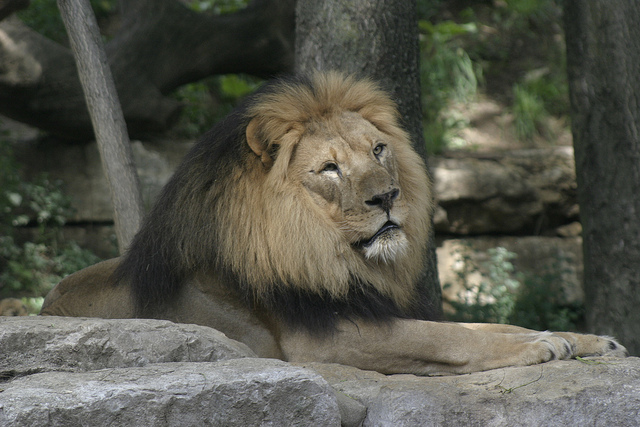 omaha henry doorly zoo jobs